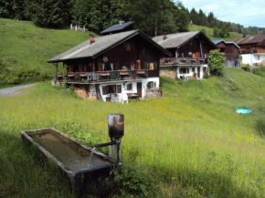 Гостиница Ferienwohnung im Blockhaus Metzler, Шварценберг